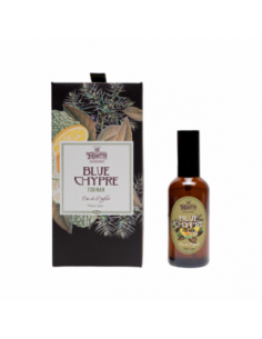 Mi Rebotica Perfume Blue Chypre 2