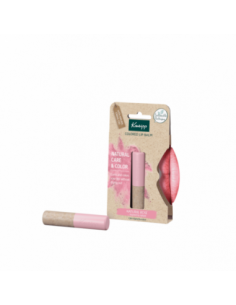 Kneipp colored Lip Balm Natural Rosé 3,5 g
