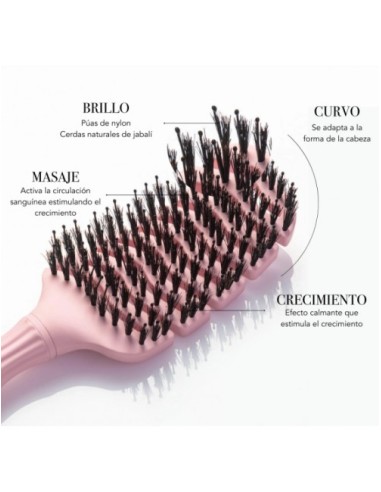 Moncho Moreno Magic Brush S Rosa