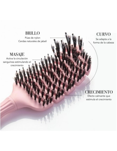 Moncho Moreno Magic Brush S Rosa