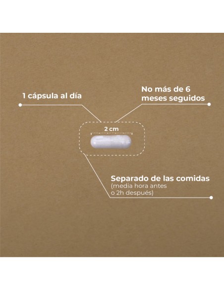 Kobho Alpha Lipolic Acid 60 cápsulas