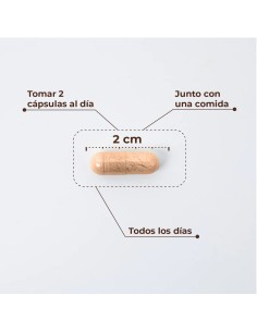 Kobho W-Balance 60 capsulas 2