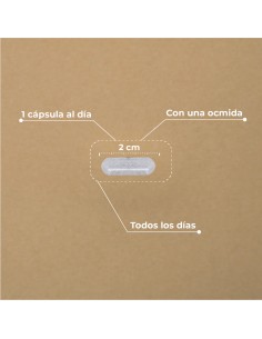 HAIR & NAIL BOOSTER KOBHO 60 CAPSULAS 2