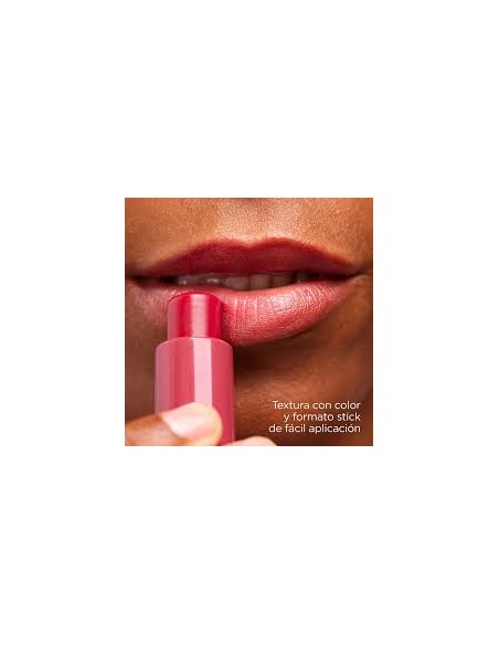 ISDIN REPARADOR LABIAL STICK COLOR GRANATE