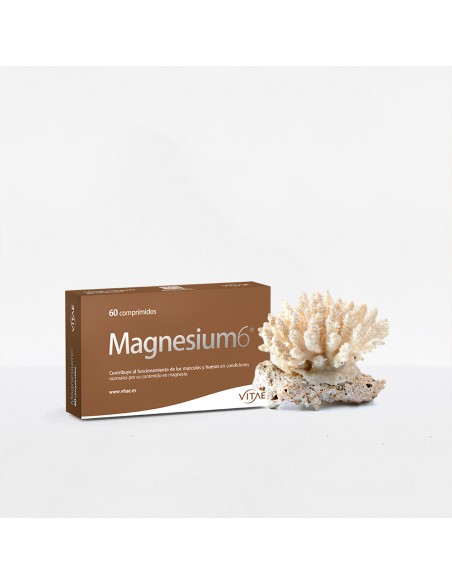 Magnesium 6 (20 comprimidos )