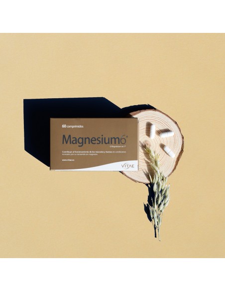 Magnesium6 (60comprimidos)