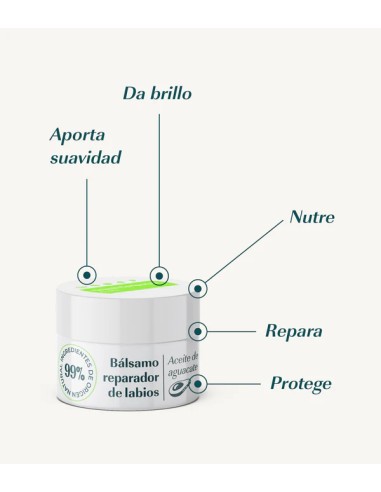Green Cornerss Balsamo labial reparador con...